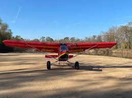 Image result for Dinas Microlight Club