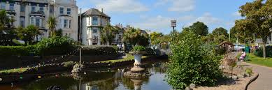 Image result for Dawlish Sc