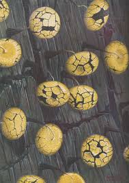 Attēlu rezultāti vaicājumam “Physarum globuliferum young”