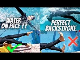 Image result for Interfreestyle Sport Karate