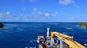 Attēlu rezultāti vaicājumam “Aranei exuvia”