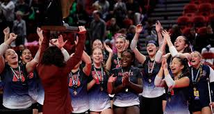 Image result for Devizes Volleyball Club