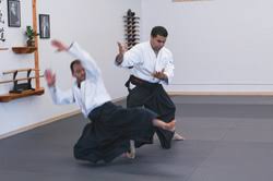 Image result for Fudokai Aikido Dojo