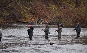 Image result for Yateley Archers