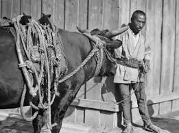 Image result for Kyo Rioku Jutsu