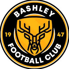Image result for Bashley (Rydal) Cricket Club