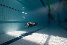 Image result for Apneists UK