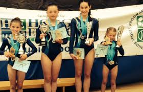 Image result for Lincoln Gymnastics Club
