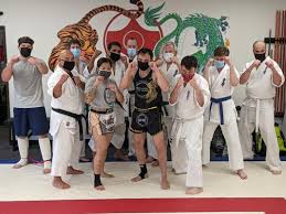 Image result for Ji Shin Do Karate