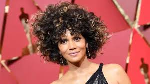 Afbeeldingsresultaat voor halle berry