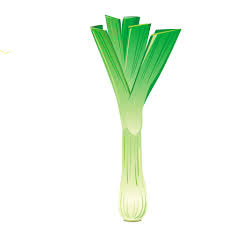 Image result for Porree