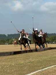 Image result for Taunton Vale Polo Club