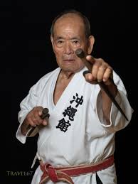 Image result for Komaru Ryu Small Circle Jujitsu/Karate