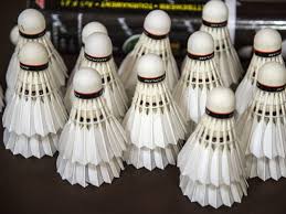 Image result for Lysander Badminton Club