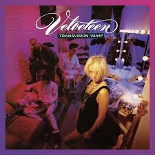 Image result for transvision vamp