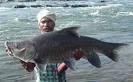 Angling News Weekly - Clive Branson's Weekly Fishing Guide