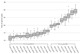Attēlu rezultāti vaicājumam “Licea pusilla spores”