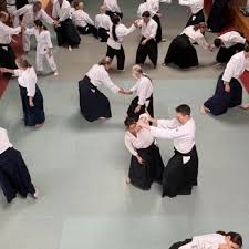 Image result for Sho Shin Kan Aikido Club