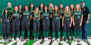 Image result for Dragons Softball Club