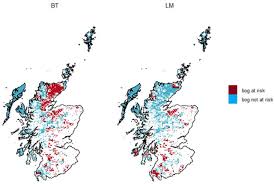 Attēlu rezultāti vaicājumam “Cephalozia loitlesbergeri”