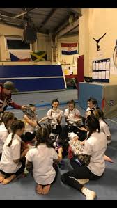 Image result for Harlequin Gymnastics Club