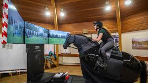 Image result for Scottish Equi Complex