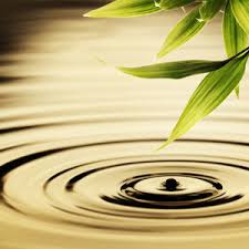 Image result for bilder