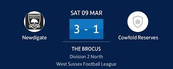 Image result for Newdigate F C