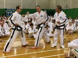 Image result for Redhill & Reigate Taekwon-Do