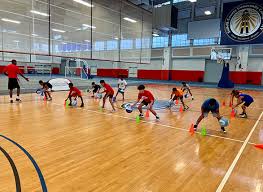 Image result for Suffolk Badminton Academy - Suffolk