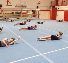 Image result for Tamworth Olympic Gymnastics Club