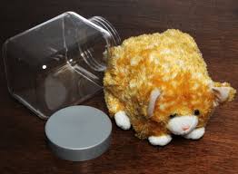 Kuvahaun tulos haulle bonsaikitten