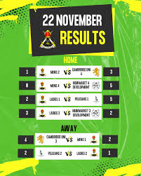 Image result for City Of Ely Roller Hockey Club