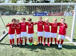 Image result for Cobham Sports Association Ltd