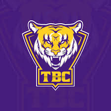 Image result for Bedford Tigers Tchoukball Club