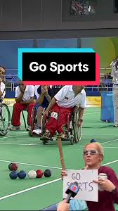 Image result for Well Being and Leisure Team (Boccia)