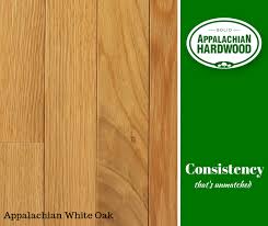 Image result for White Oak Aikido Whitton