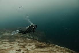 Image result for Blue Water Diving