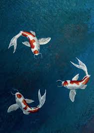 Image result for Elkesley All Rounders