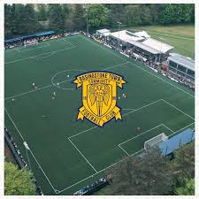 Image result for Basingstoke Sc