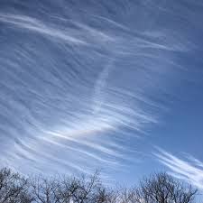 Attēlu rezultāti vaicājumam “Cirrus fibratus”