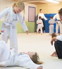 Image result for Backwell Karate