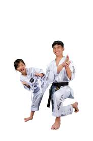 Image result for Kidderminster Tae Kwon Do Tigers