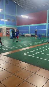 Image result for Ifds Badminton Club