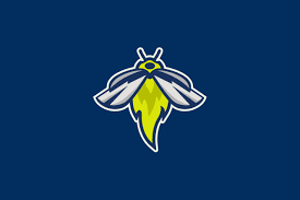 Image result for Fireflys Badminton Club