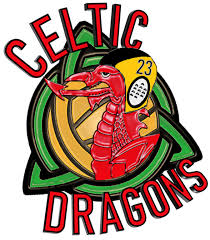 Image result for Swindon Dolphins