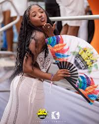 Image result for Weezadivers