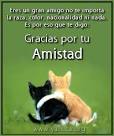 GRACIAS POR TU AMISTAD