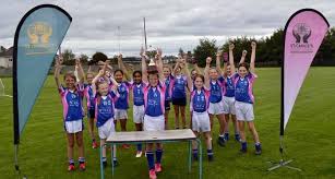 Image result for Erin`s Own Gaelic Athletic & Social Club