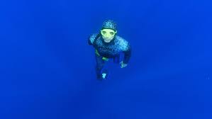 Image result for Blue Water Freediving School